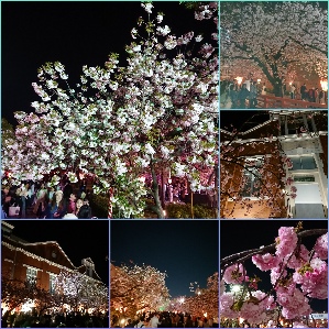 inCollage_20190416_082706691 - コピー.jpg