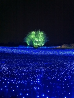 nabananosato005.jpg
